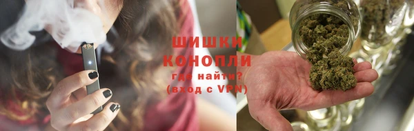 PSILOCYBIN Абаза