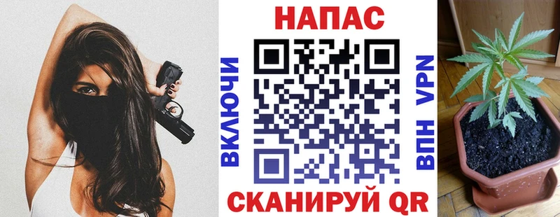 ОМГ ОМГ ссылка  Новоаннинский  Канабис VHQ 